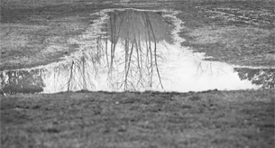 reflection_thumb