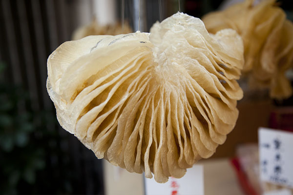 rtw_li_flatdriedcuttlefish1