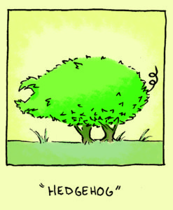 Illustration by: Anderson Carman